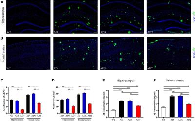 Transcranial Direct Current Stimulation Alleviates Neurovascular Unit Dysfunction in Mice With Preclinical Alzheimer’s Disease